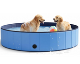 Dog Pet Swimming Pool