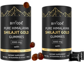 Himalayan Shilajit 120 Gummies
