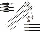 Hunting Archery Arrows (6 Arrows)