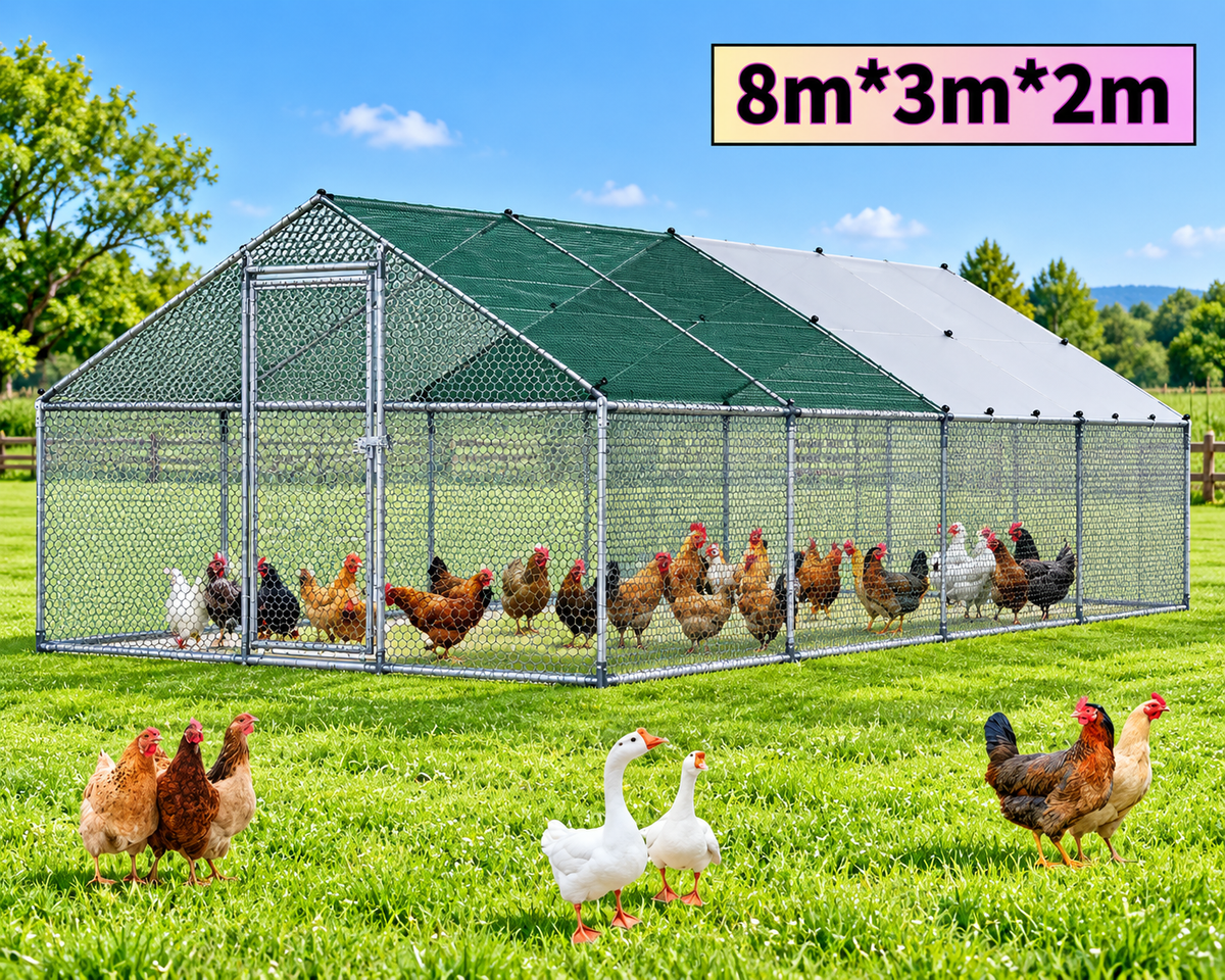 Outdoor Chicken Coop 8Mx3Mx2M