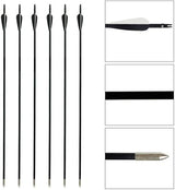 Hunting Archery Arrows (6 Arrows)