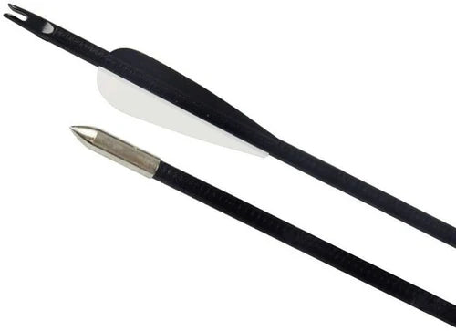 Hunting Archery Arrows (6 Arrows)