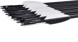 Hunting Archery Arrows (12 Arrows)