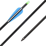 Fiberglass Hunting & Target Archery Arrows (6 Arrows)