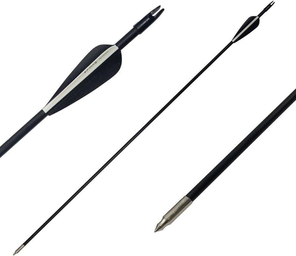 Hunting Archery Arrows (6 Arrows)