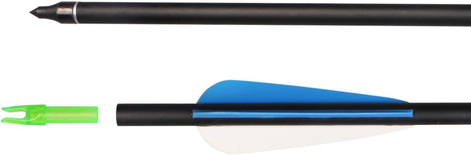 Fiberglass Hunting & Target Archery Arrows (6 Arrows)