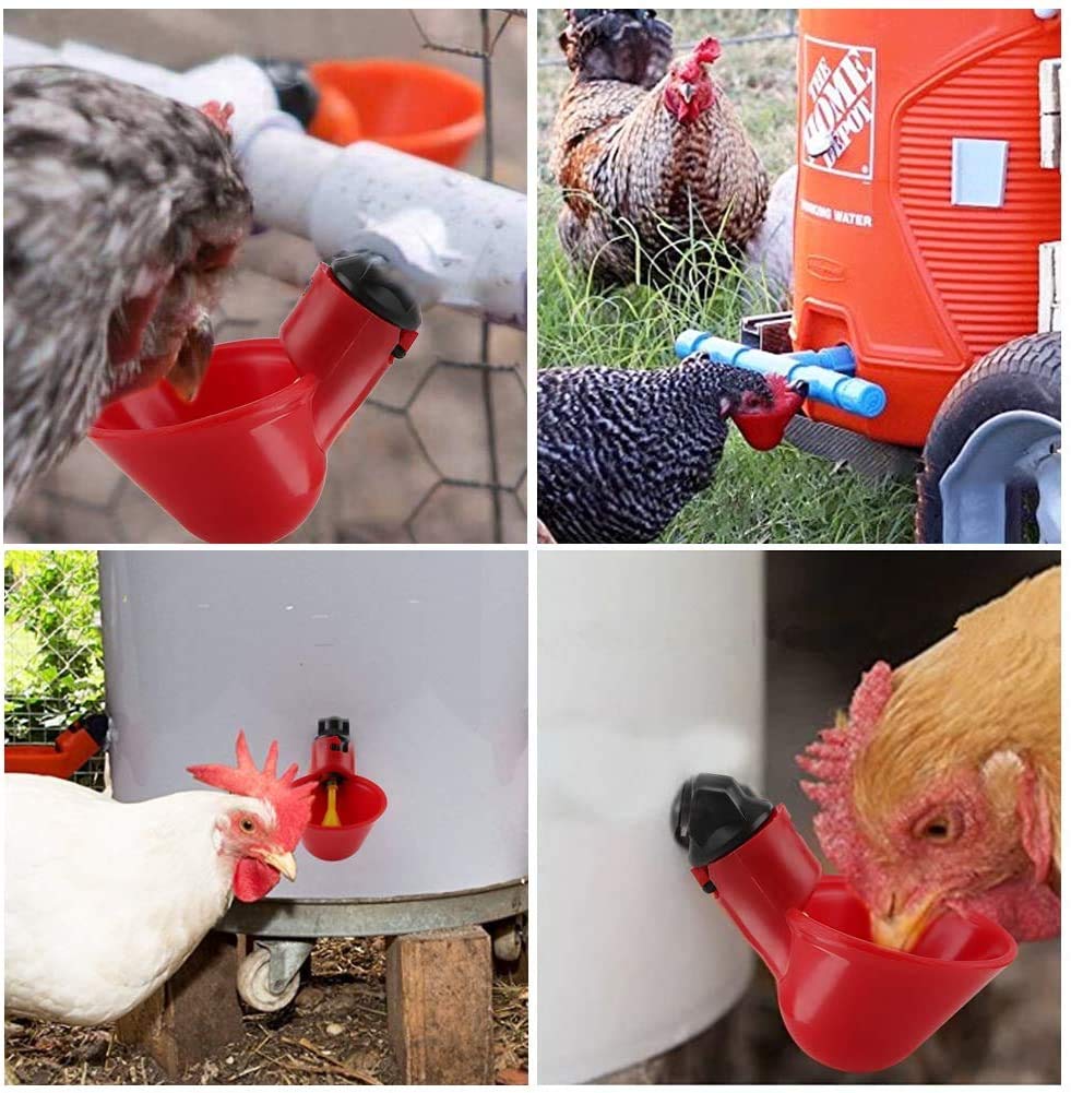 Chicken Drinker Cups - 10 Pack Automatic Poultry Water Feeder with Peck Trigger