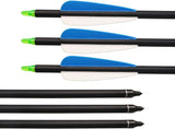 Fiberglass Hunting & Target Archery Arrows (6 Arrows)
