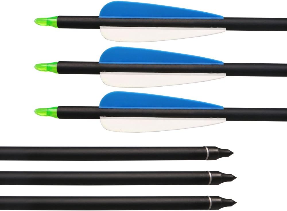 Fiberglass Hunting & Target Archery Arrows (6 Arrows)