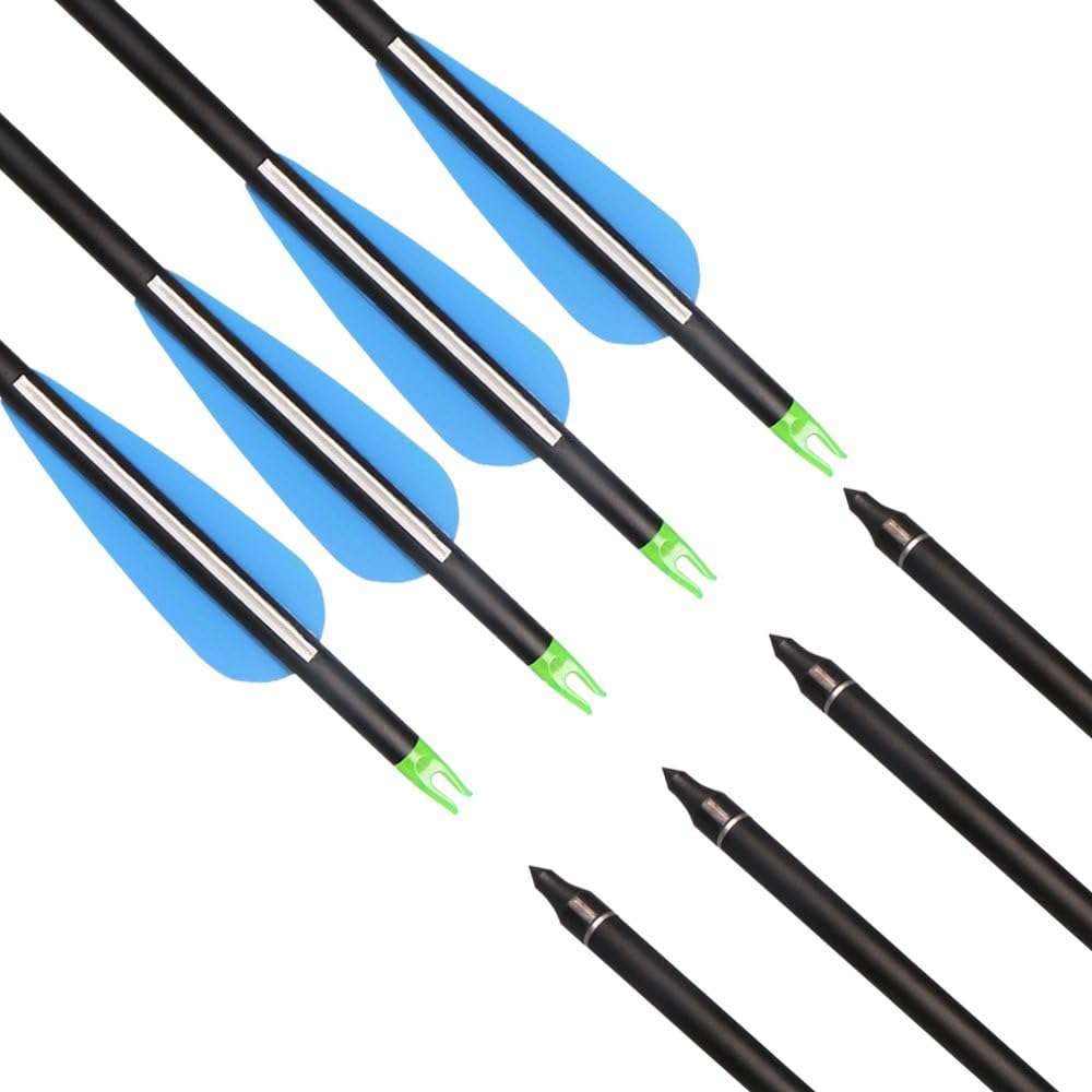 Fiberglass Hunting & Target Archery Arrows (6 Arrows)
