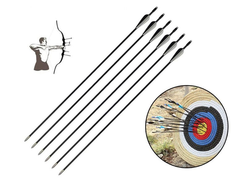 Hunting Archery Arrows (12 Arrows)