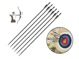 Hunting Archery Arrows (12 Arrows)