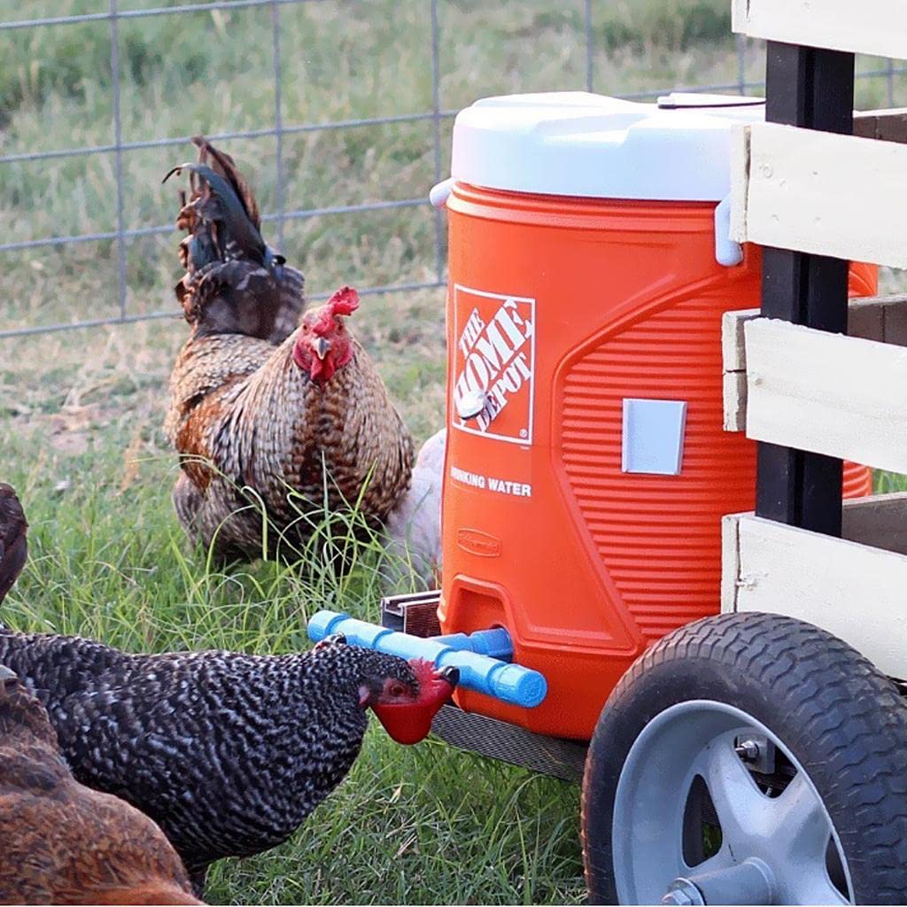 Chicken Drinker Cups - 10 Pack Automatic Poultry Water Feeder with Peck Trigger