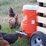 Chicken Drinker Cups - 10 Pack Automatic Poultry Water Feeder with Peck Trigger