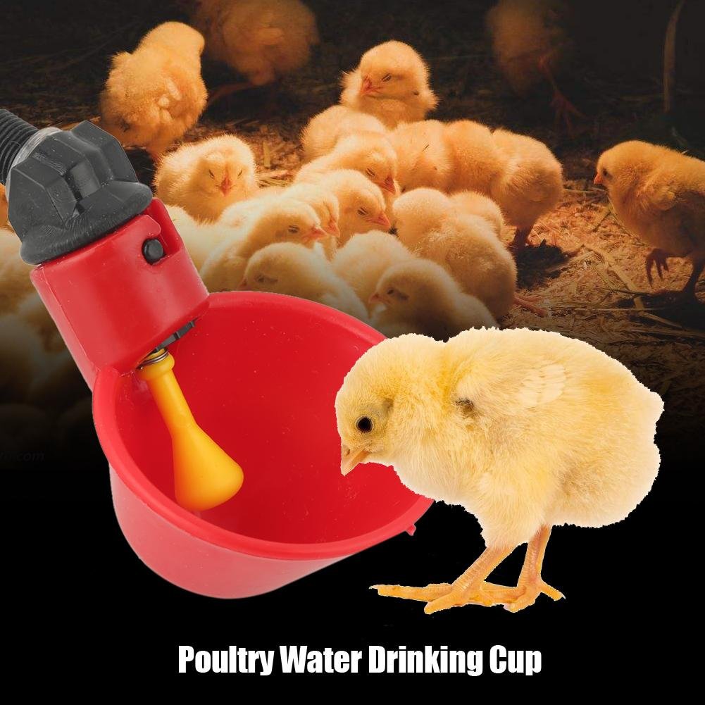 5Pcs Poultry Drinking Bowl Duck Water Dispenser Pigeon Chicken Water Cup