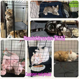 Cat Cage DIY Enclosure Pet Crate Rabbit Hutch Pet Playpen