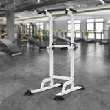 Chin Up Pull Up Chin Up Station