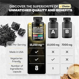 Shilajit 60 Capsules Vitality Support