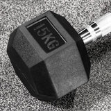 Dumbbell Set - 2 x 15kg Hex Weights