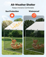 Outdoor Chicken Coop