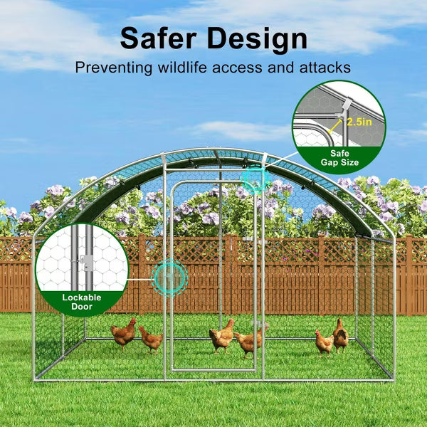 Outdoor Chicken Coop