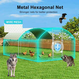 Outdoor Chicken Coop