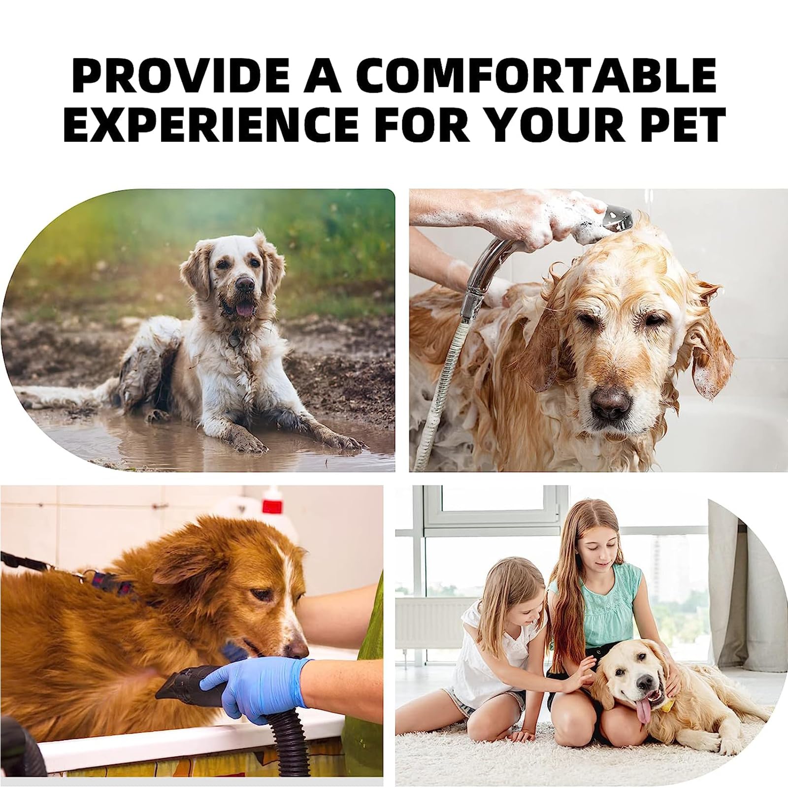 Pet Hair Dryer Blower