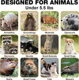Possum Trap Animal Trap 65 x 26 x 24cm