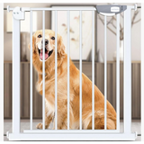 Safety Gate