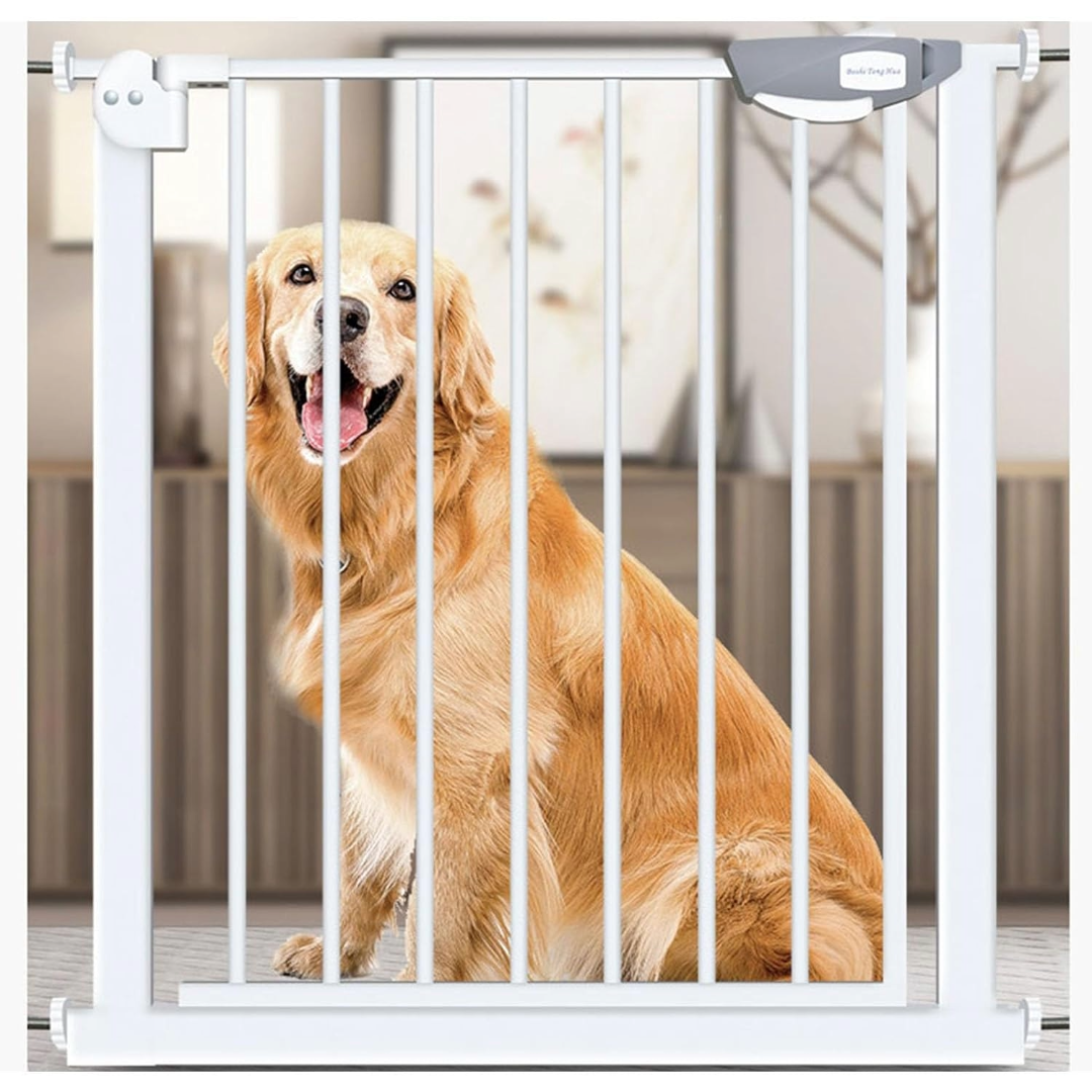 Safety Gate