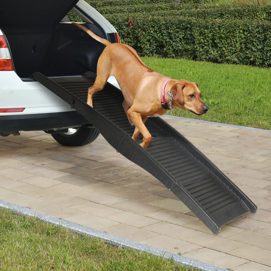 Dog Ramp Foldable Dog Ladder for Car
