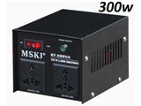 Step Up Down Transformer 300W
