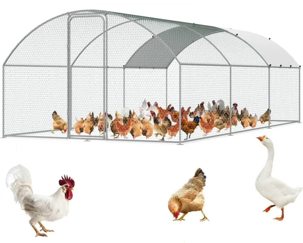 Chicken Coop Run 6m × 3m × 2m