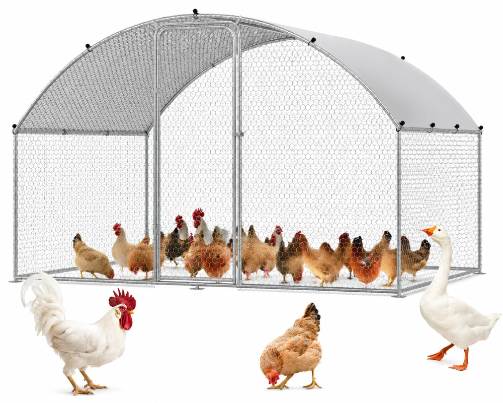 Outdoor Chicken Coop 3M x 2M x 2M
