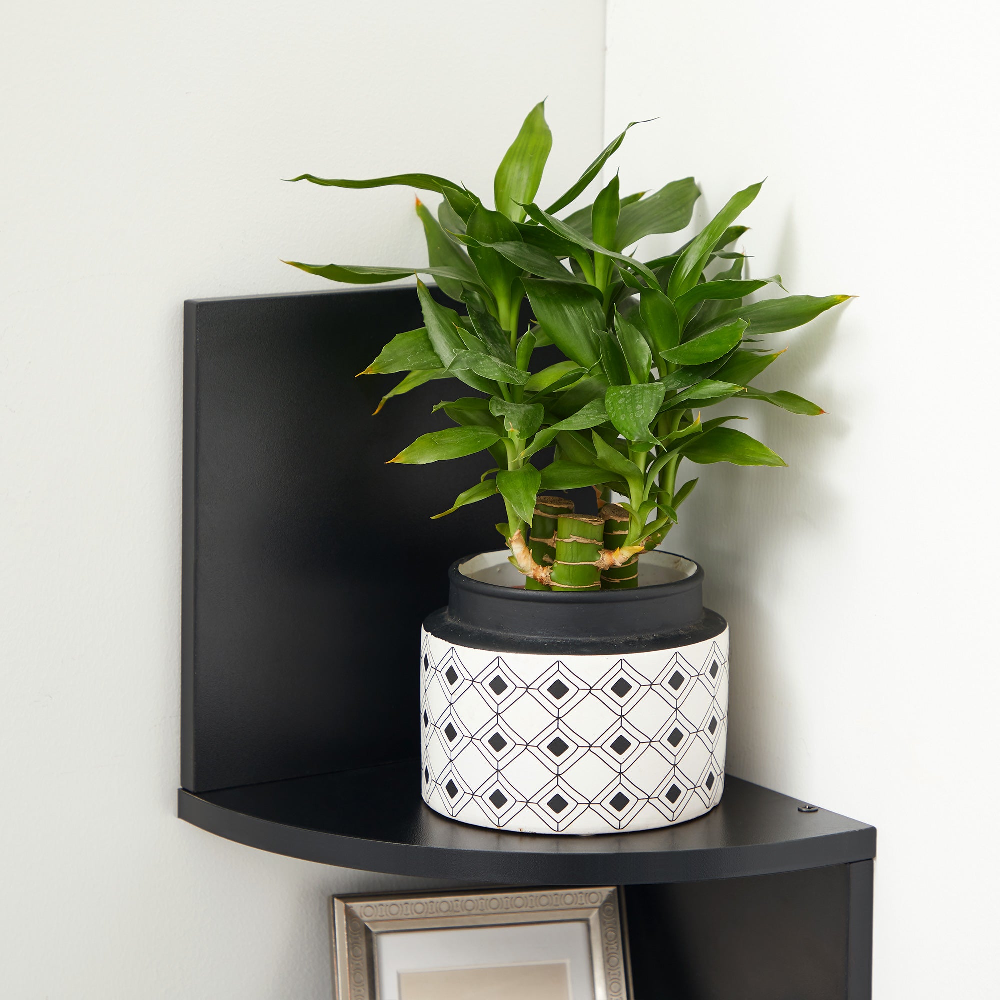 VASAGLE Corner Bookshelf 5-Tier - Black