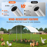 Outdoor Chicken Coop 3M x 2M x 2M