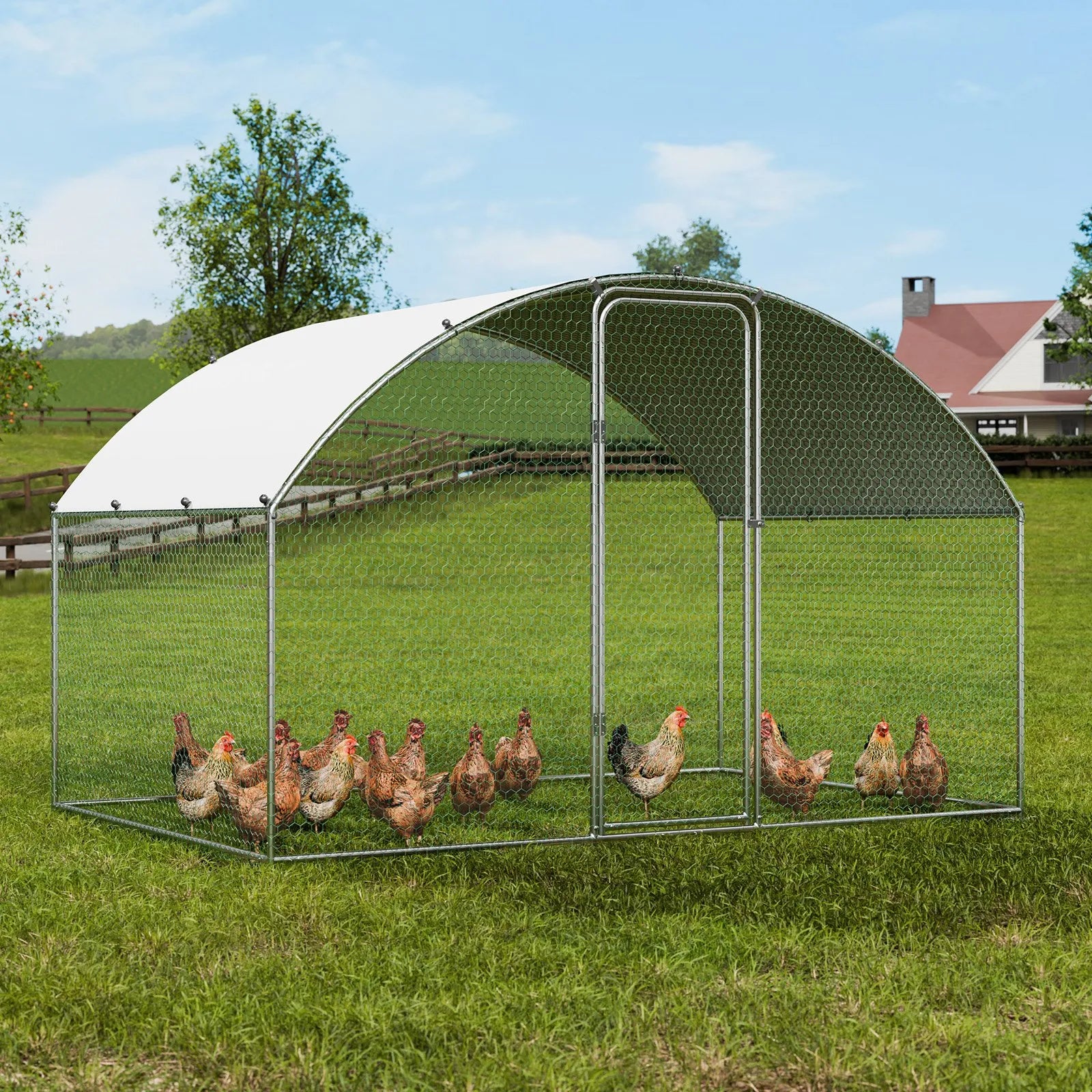 Outdoor Chicken Coop 3M x 2M x 2M