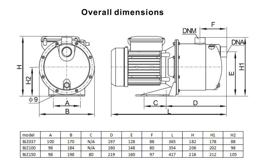 Household Water Pump Electric Garden Jet Pump 1300W