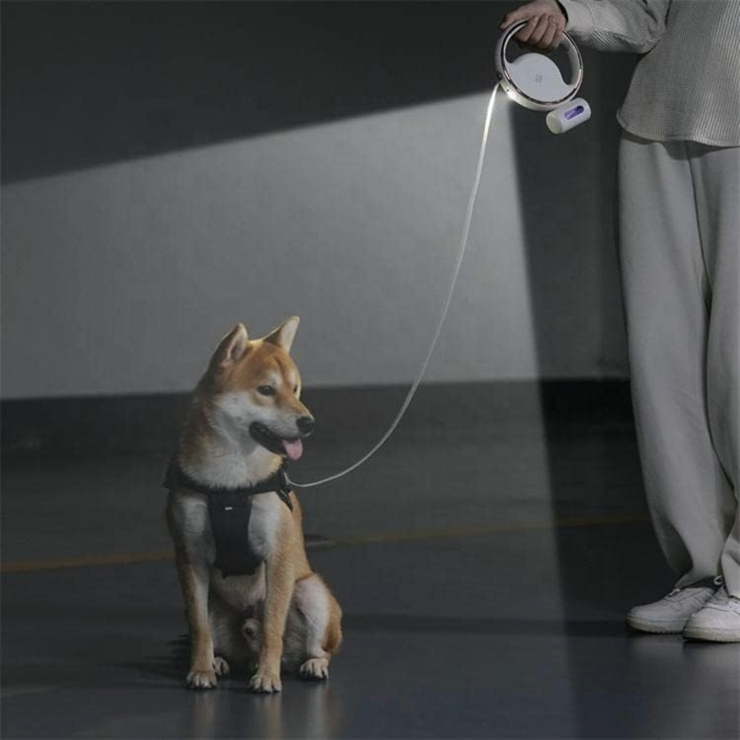 Retractable Dog Leash 3m Heavy Duty with LED Light & Waste Bag Holder USB-C Rechargeable White