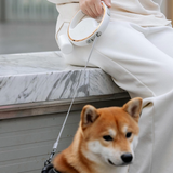 Retractable Dog Leash 3m Heavy Duty with LED Light & Waste Bag Holder USB-C Rechargeable White