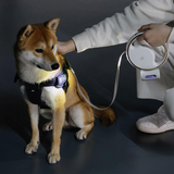 Retractable Dog Leash 3m Heavy Duty with LED Light & Waste Bag Holder USB-C Rechargeable White