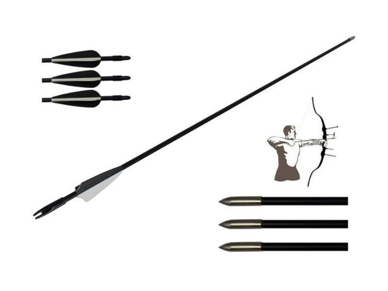 Hunting Archery Arrows (12 Arrows)