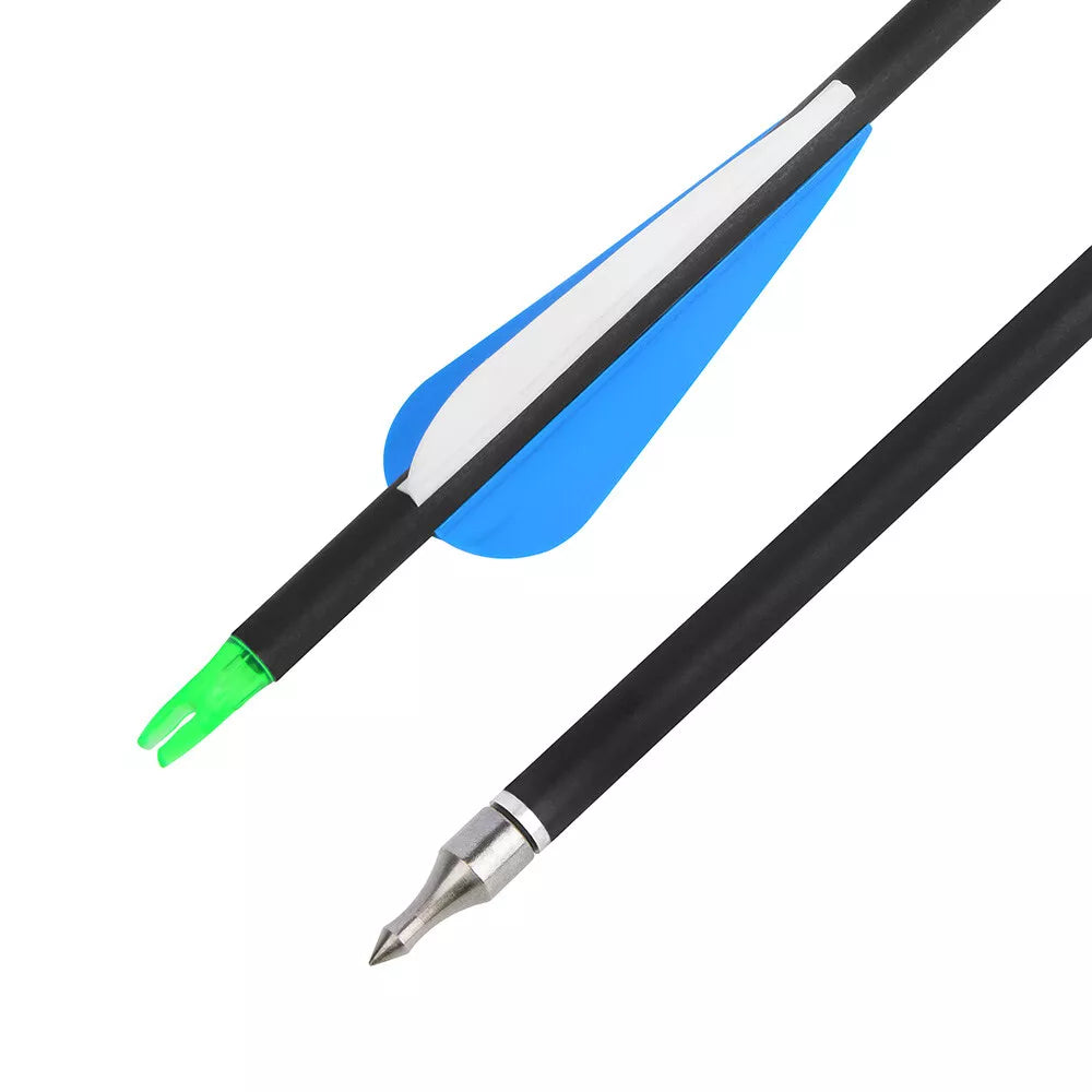 Fiberglass Hunting & Target Archery Arrows (12 Arrows)