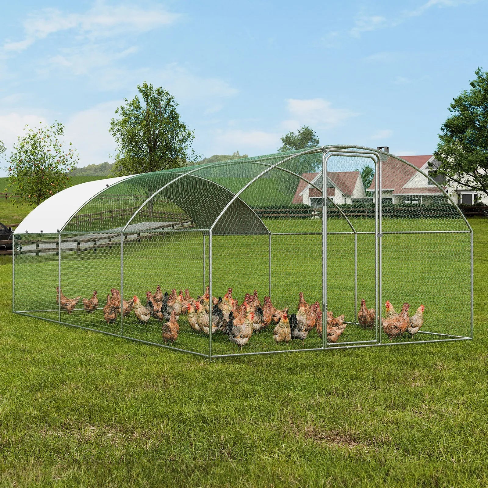 Chicken Coop Run 6m × 3m × 2m